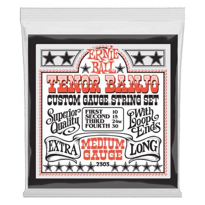 ERNIE BALL 2303 Medium Loop End Stainless Steel 10-30 Gauge テナーバンジョー弦