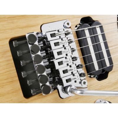 SCHALLER LockMeister GO R2/37 トレモロユニット 装着イメージ画像