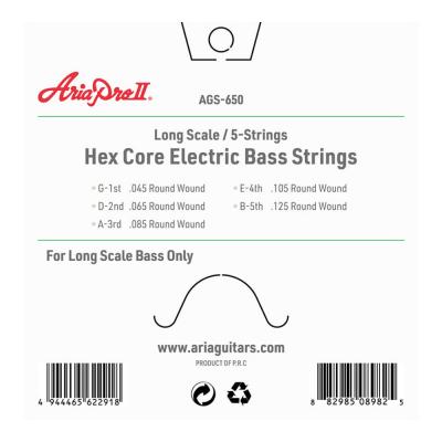 AriaProII AGS-650 5弦 エレキベース弦 裏面