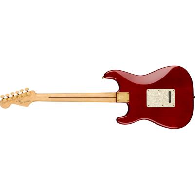 Fender Tash Sultana Stratocaster MN TRNSP CH エレキギター 裏面の画像