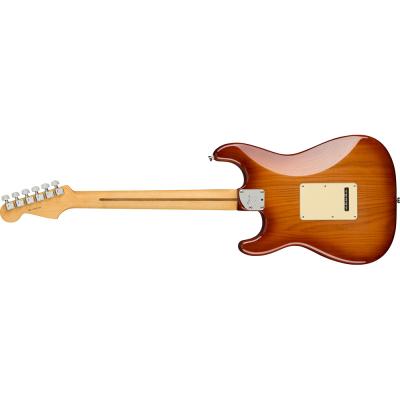 Fender American Professional II Stratocaster HSS MN SSB エレキギター ボディバック画像