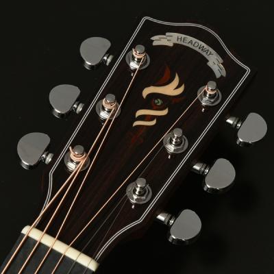 HEADWAY HGAF-5100SE/FMY-C エレクトリックアコースティックギター ヘッドの画像