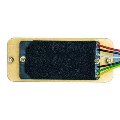 KarDiaN Iodoform Gold キャラクターモジュール 数量限定特製ストラップ付きドライバー付属 底面