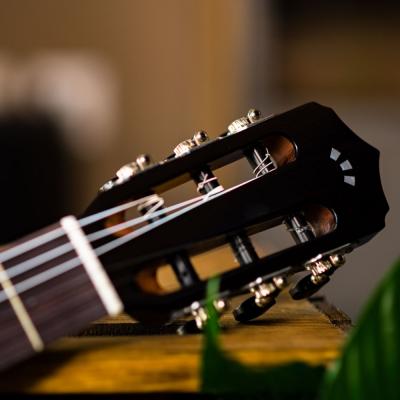Cordoba Fusion 5 クラシックギター ヘッドの画像