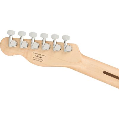 Squier Affinity Series Telecaster LPB エレキギター ヘッド裏画像