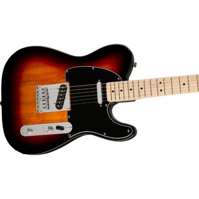 Squier Affinity Series Telecaster 3TS エレキギター ボディトップ画像
