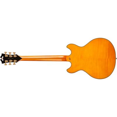 D’Angelico Excel Mini DC Vintage Natural エレキギター バック画像