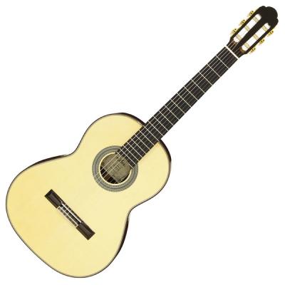 ARIA A-200S Basic クラシックギター ライトフォームケース付き
