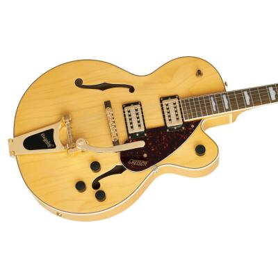 GRETSCH G2410TG Streamliner Hollow Body Single-Cut with Bigsby and Gold Hardware VLAMB エレキギター ボディの画像