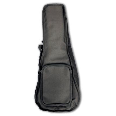 ORTEGA RUHZ-CE-MM Horizon Series Concert エレクトリックコンサートウクレレ 付属ケース