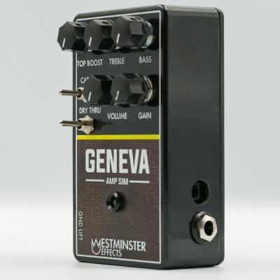 Westminster Effects WE-GAS Geneva Amp Sim V2 アンプシミュレーター ギターエフェクター 入力端子部画像 斜めからの画像