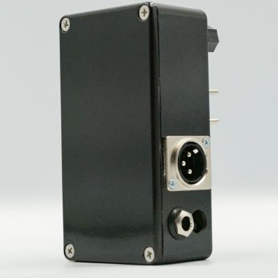 Westminster Effects WE-GAS Geneva Amp Sim V2 アンプシミュレーター ギターエフェクター 入力端子部画像 斜めからの画像