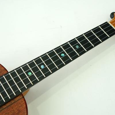 KoAloha KTM-10 Concert Pikake Koa series コンサートウクレレ 指板画像