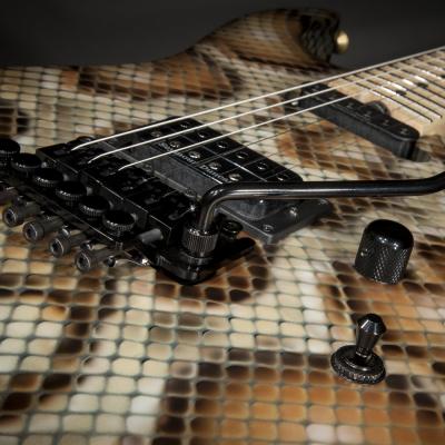 Charvel Warren DeMartini USA Signature Snake Snakeskin エレキギター ブリッジ