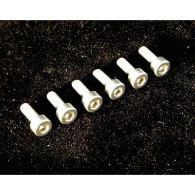 FU-Tone Stainless Saddle Mounting Screw Set フロイドローズ用 サドルマウントスクリュー 6個セット イメージ画像