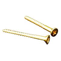 FU-Tone Brass Spring Claw Screws トレモロスプリングホルダー用 スクリュー 2本セット
