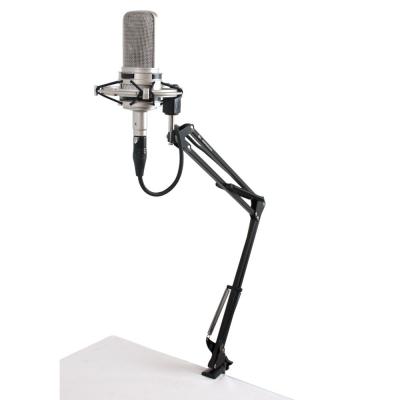 iSK ASD-20 デスクアームマイクスタンド 使用例