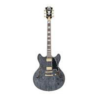 D’Angelico Excel DC Black Dog エレキギター