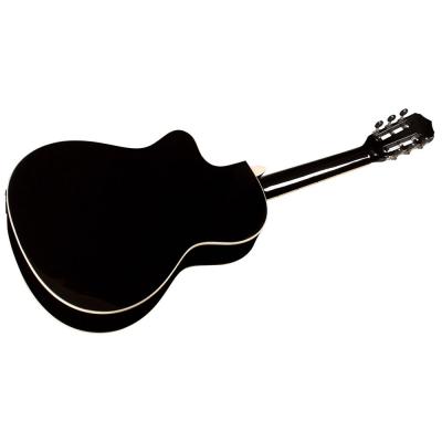 Cordoba Fusion 5 Jet エレクトリッククラシックギター 背面全体画像