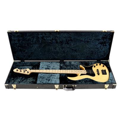 APII RSB-7210BM N エレキベース ケース収納時の画像