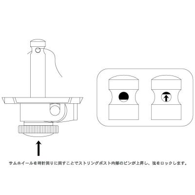 GROVER 533G6 Gold 6-in-line Vintage Locking 533 Series ギター用ペグ サムホイール部解説画像