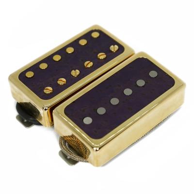 Righteous Sound Pickups 1991 GAZING Set Gold Cover Royal Insert エレキギター用ピックアップセット