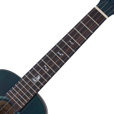 Kai Ukulele KC-100G/BL コンサートウクレレ ソフトケース付き 指板