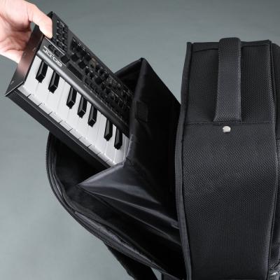 ROLAND CB-RU10 Utility Gig Bag 楽器用マルチバック 収納例