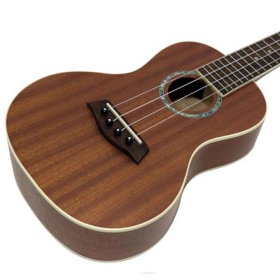 ISLANDER PAT-BOX Plant a Tree Box コンサートウクレレ ボディ斜めアングル画像