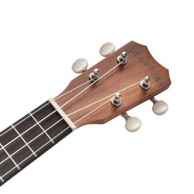 ISLANDER AC-4 Acacia Series コンサートウクレレ ヘッド画像