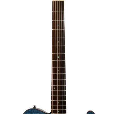 SCHECTER OL-FL SSTB エレクトリックアコースティックギター エレクトリックアコースティックギター エレアコ ネック 画像