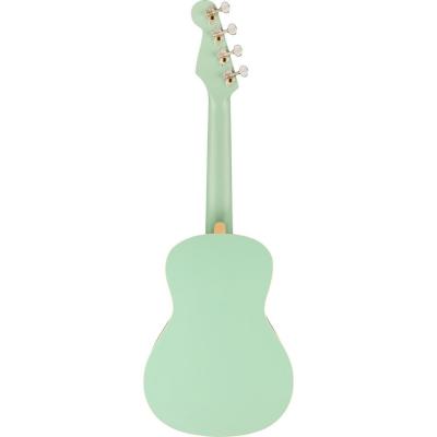 Fender Avalon Tenor Ukulele SFG WN テナーウクレレ 背面全体の画像