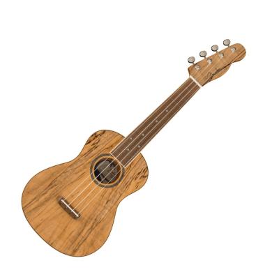 Fender Zuma Exotic Concert Ukulele SPALTED WN コンサートウクレレ