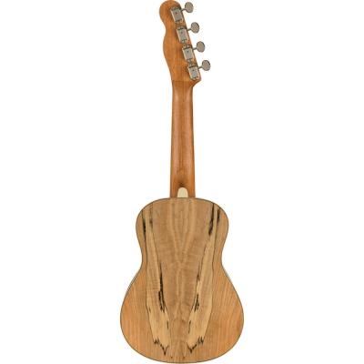 Fender Zuma Exotic Concert Ukulele SPALTED WN コンサートウクレレ 背面全体の画像