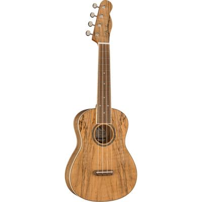 Fender Zuma Exotic Concert Ukulele SPALTED WN コンサートウクレレ 正面全体の画像
