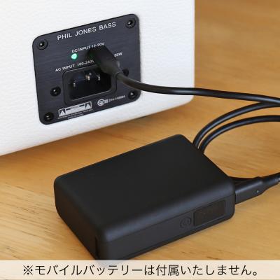 PHIL JONES BASS NANOBASS X4C White 小型ベースアンプ コンボ USBモバイルバッテリー対応 モバイルバッテリー使用時の画像