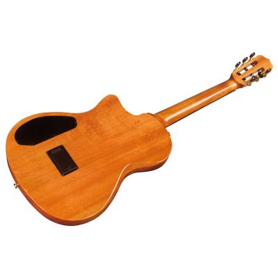 Cordoba STAGE GUITAR エレクトリッククラシックギター 裏面別アングル画像