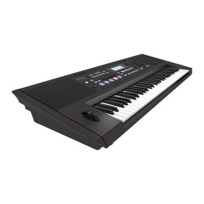 ROLAND E-X50 Arranger Keyboard アレンジャーキーボード 斜めアングル画像