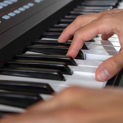 ROLAND E-X50 Arranger Keyboard アレンジャーキーボード 鍵盤画像