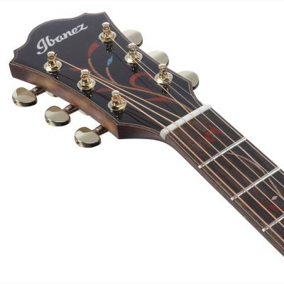 IBANEZ AE295LTD-NT エレクトリックアコースティックギター ヘッドの画像