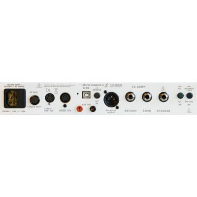 Revv Amplification D20 White ギターアンプヘッド 背面パネル