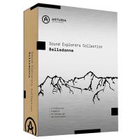 ARTURIA SOUND EXPLORER BELLEDONNE V collection9/FX collection3/Pigments3のバンドルセット ソフトウェアシンセサイザー