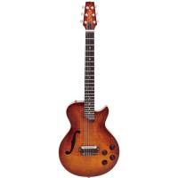 MD-MM Produce SE-01 F AVC エレクトリッククラシックギター