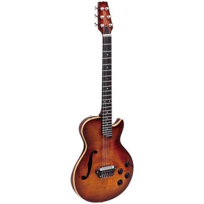 MD-MM Produce SE-01 F AVC エレクトリッククラシックギター 全体像