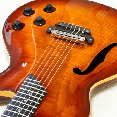 MD-MM Produce SE-01 F AVC エレクトリッククラシックギター ボディ
