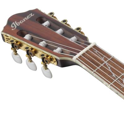 IBANEZ TOD10N-TKF Tim Henson Signature Model ナイロン弦 エレガットギター ヘッド画像
