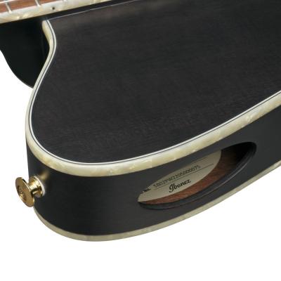 IBANEZ TOD10N-TKF Tim Henson Signature Model ナイロン弦 エレガットギター ホロウ画像