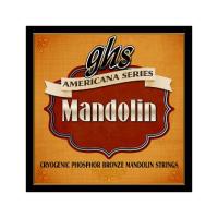 GHS A275 AMERICANA SERIES MANDOLIN 011-040 Medium マンドリン弦