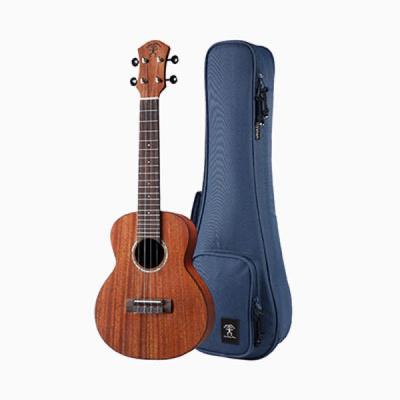 aNueNue aNN-C3 Solid Mahogany コンサートウクレレ 本体、ケース画像