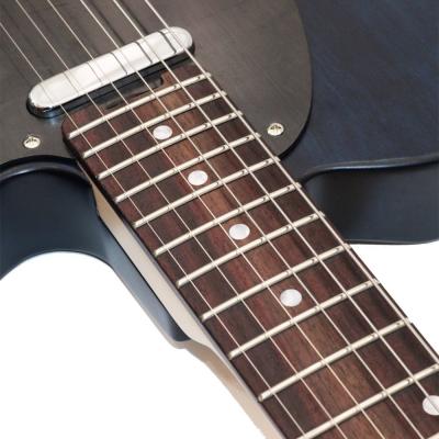 SCHECTER OL-PT-22 PBT/R エレキギター 詳細画像